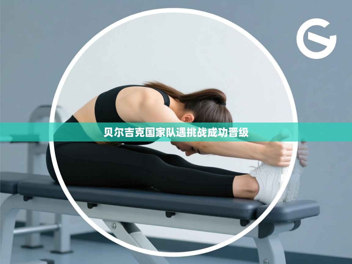 贝尔吉克国家队遇挑战成功晋级  第2张